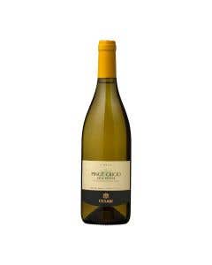 Vino Blanco Pinot Grigio Fiorile Cesari 750ml