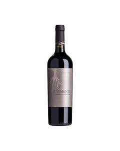 Vino Tinto Taymente Cabernet Sauvignon 750ml