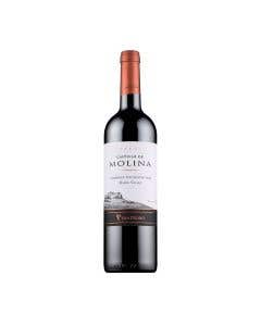 Vino Tinto Cabernet Sauvignon Castillo De Molina 750 ml