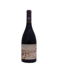 Vino Tinto Syrah Maipo Alto Tajamar 750 ml