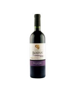 Vino Tinto Paso de Sierra Beatus Malbec 750ml