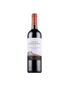 Vino Tinto Cabernet Sauvignon Castillo De Molina 750 ml